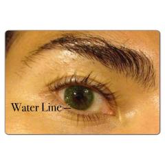 10477703_10152860058846661_508197619_n